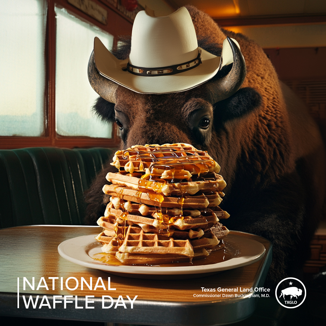 Happy #NationalWaffleDay from the GLO!

On this day in 1869, Cornelius Swarthout of Troy, New York, was issued a patent for the revolutionary waffle iron, making the delicious breakfast treat more readily available for everyone.

Let's all celebrate by joining Boone in enjoying a