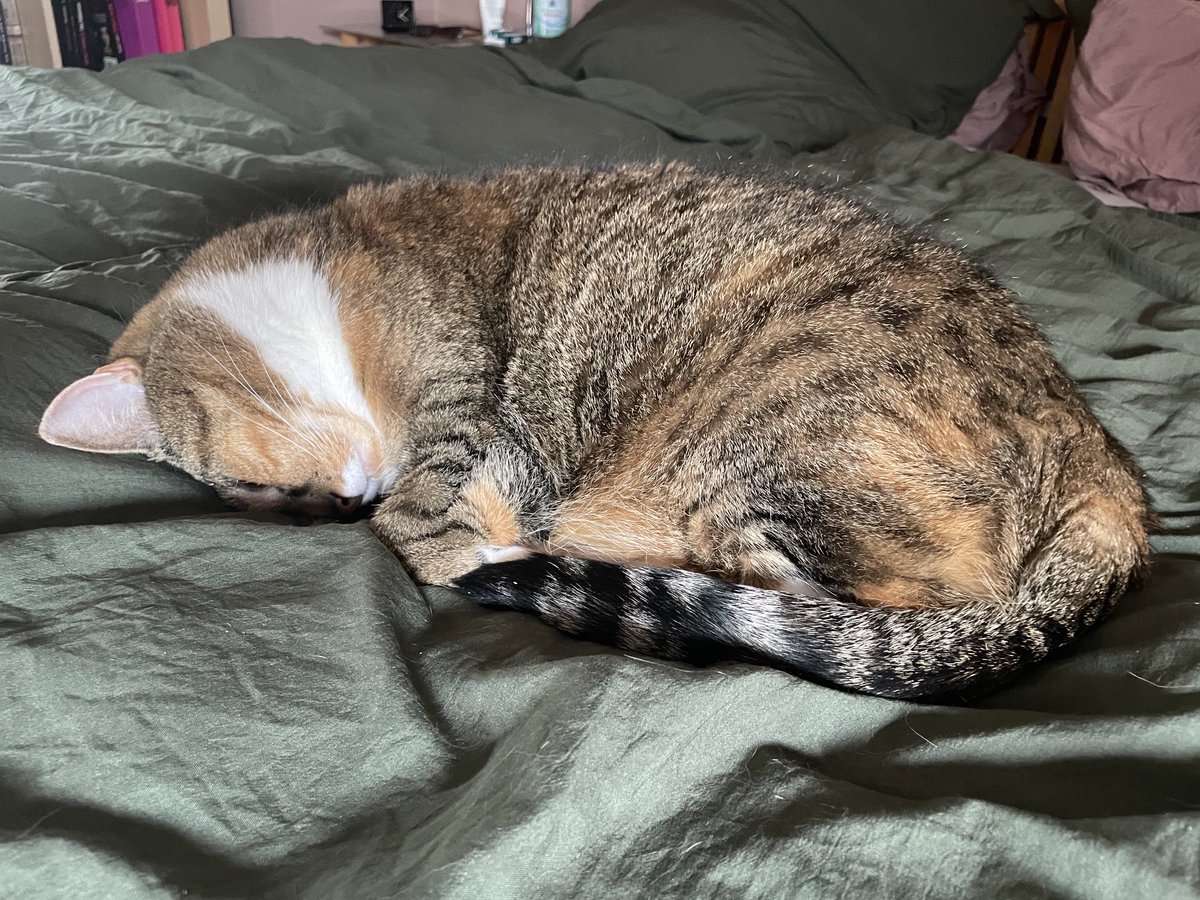 Ich weiß, dass Ihr auch alle Katzen liebt.