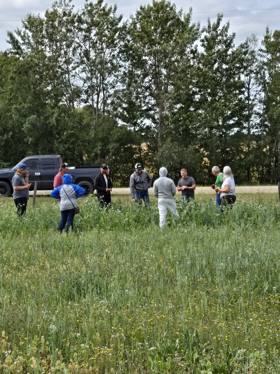 DrBart_Beef's tweet image. Awesome week in Alberta - field tours &amp;amp; workshops! #AgExtension #CornBarleySilage #CoverCrops #ForagesInTheField @Farmnorthof58 @PCBFA @extensionnpara #AppliedBeefForageResearch