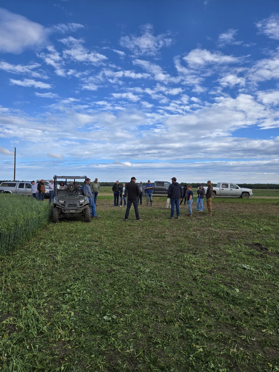 DrBart_Beef's tweet image. Awesome week in Alberta - field tours &amp;amp; workshops! #AgExtension #CornBarleySilage #CoverCrops #ForagesInTheField @Farmnorthof58 @PCBFA @extensionnpara #AppliedBeefForageResearch