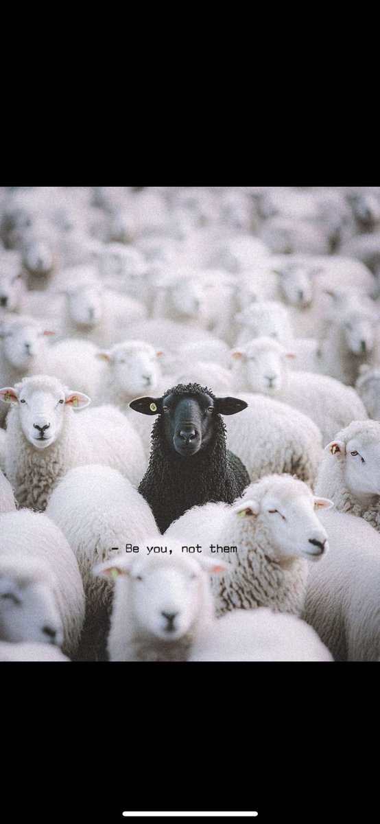 Evan Pelfrey tweet media