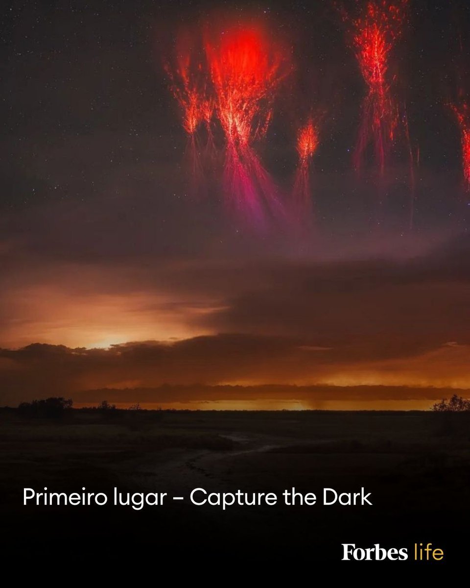 ForbesBR's tweet photo. Imagens vencedoras do concurso internacional Capture the Dark retratam fenômenos celestes em diferentes partes do mundo
Leia mais em: https://t.co/cJlUz1kAwz
(Fotos: Tom Rae/ Mónica Mesa/ Kavan Chay/ X.I.N./ Oscar Leonardo Chavez Torres)
#ForbesLife #Fotografia #CaptureTheDark #Astronomia #CéuNoturno #PoluiçãoLuminosa #Natureza