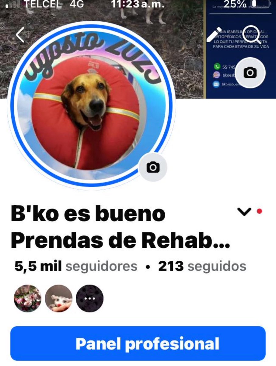 Para todas las personas que quieren el contacto de nuestra invitada. Acá de los dejo.  Recuerden que ella mantiene un santuario para perros viejitos.