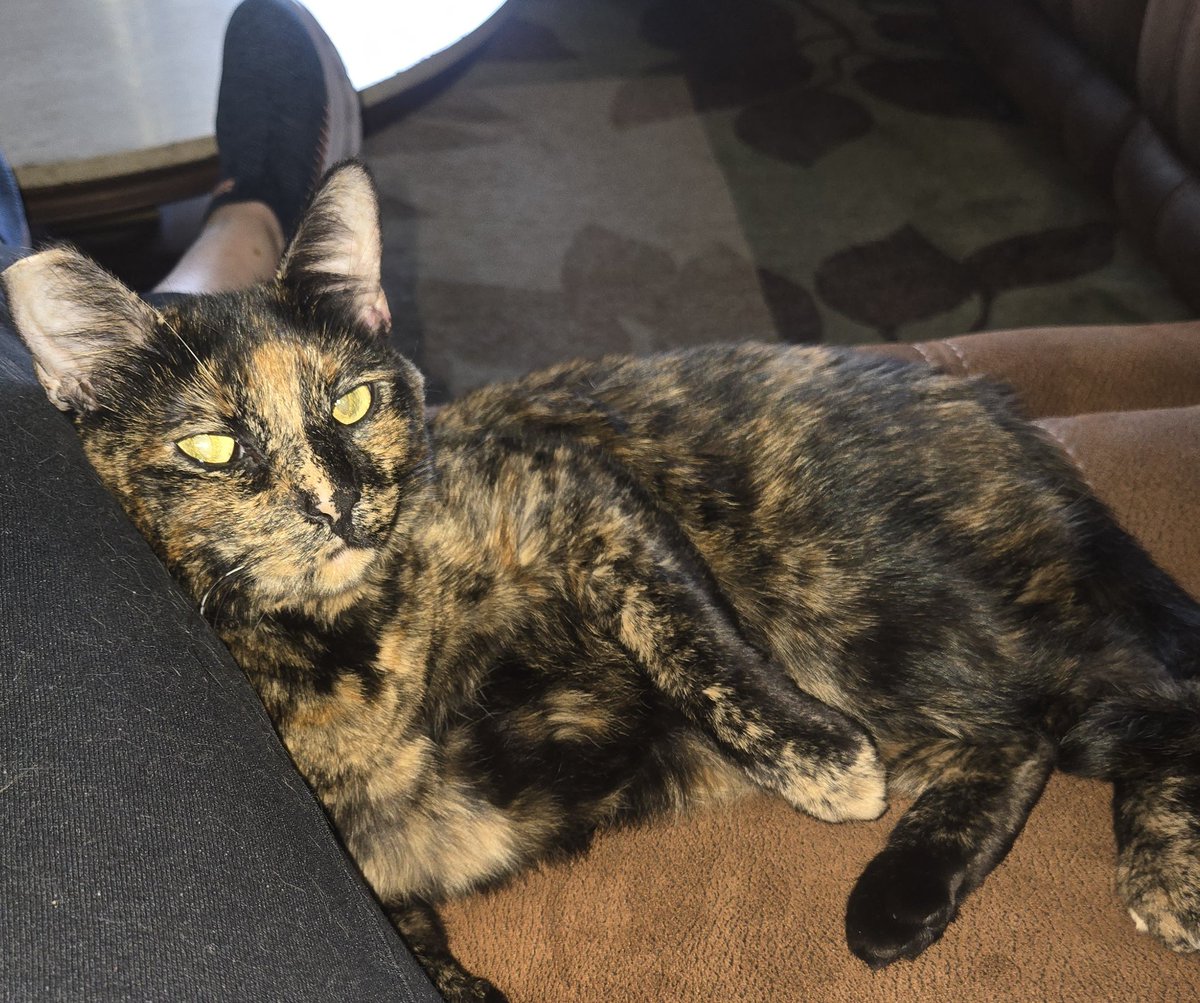 She just plopped down next to me. Strange cuz she's pretty much a loner when it comes to relaxing.