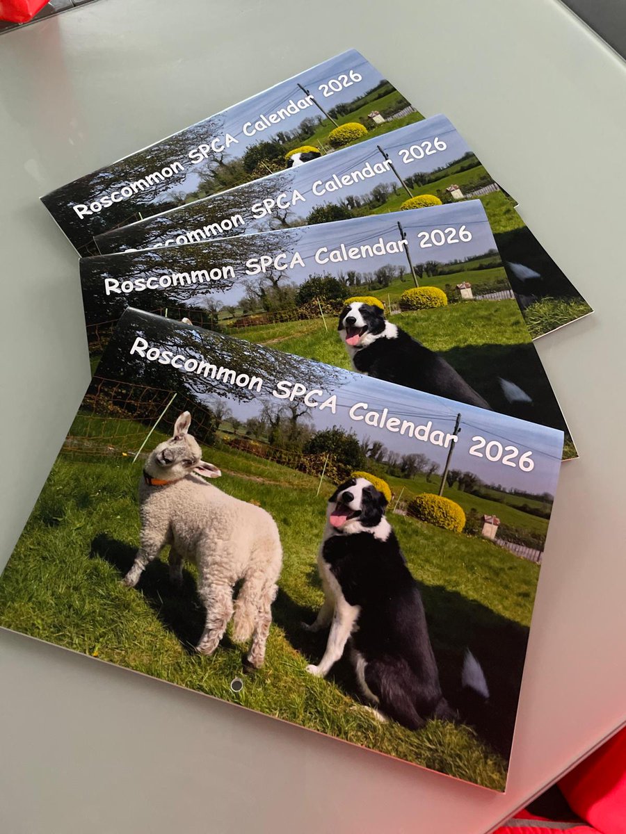 The Roscommon SPCA 2026 Calendar is now on sale.

Now available to order online  just click the link below to grab yours! 
roscommon-spca.sumupstore.com/product/2026-c…