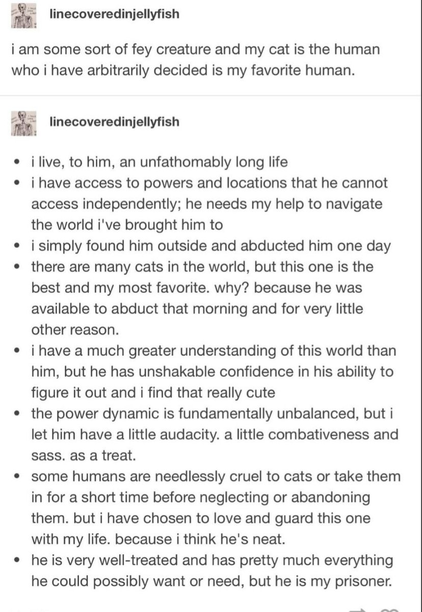 Weird Studies tweet media