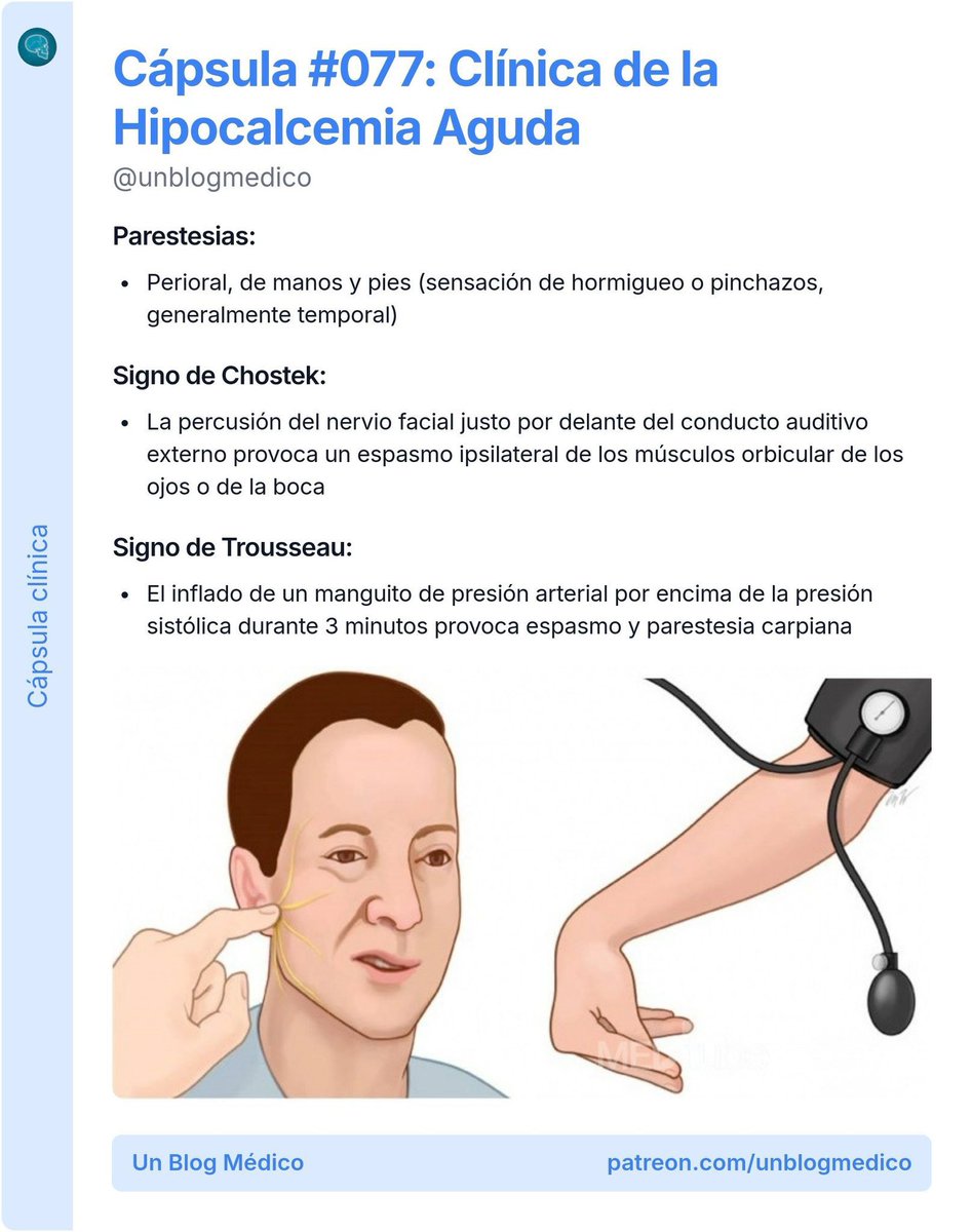 unblogmedico's tweet photo. 🏥 | Manifestaciones clínicas de la Hipocalcemia aguda:

Otras 99 cápsulas como está aquí: https://t.co/JHfXyYLAzt https://t.co/hyPOQZwXm4