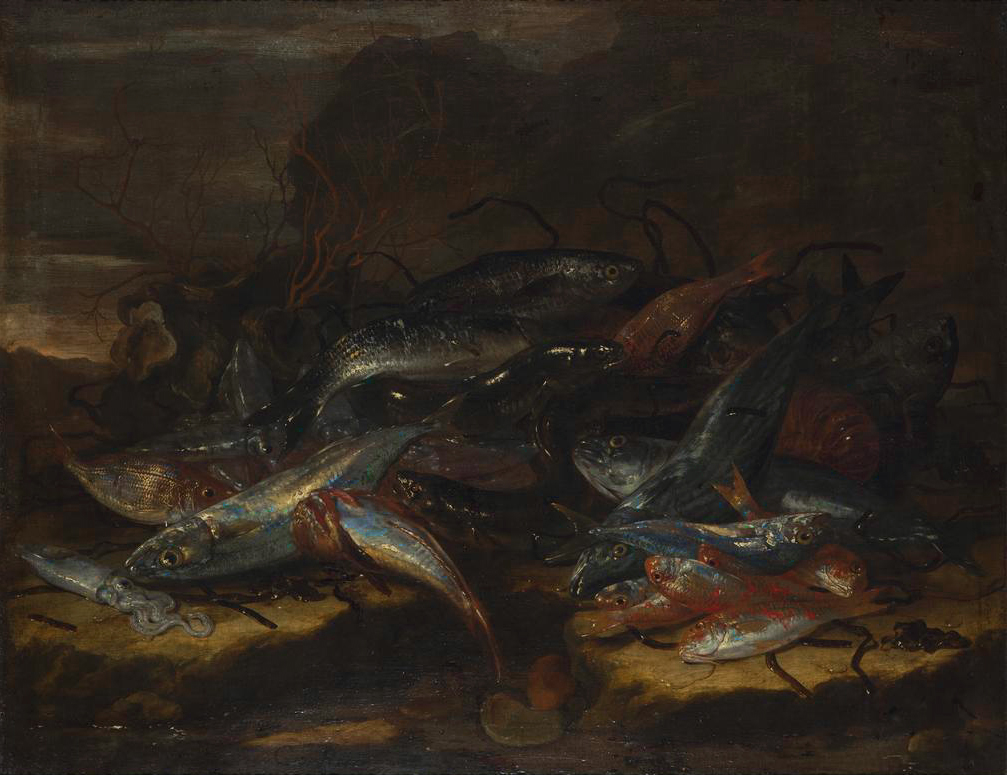 π π π π π πΉ π π π π π π π (@visionocturna_) on Twitter photo "Still-life with fish" - Giuseppe Recco (1660s). In collection of the Museum of Art in ΕΓ³dΕΊ, Poland <a href="/muzeumsztuki/">Muzeum Sztuki</a>.
#art #fineart #painting #stilllife #marine #sea #fauna #fish, #oysters #cuttlefish #corals #rock #poland #lodz #museum "Still-life with fish" - Giuseppe Recco (1660s). In collection of the Museum of Art in ΕΓ³dΕΊ, Poland <a href="/muzeumsztuki/">Muzeum Sztuki</a>.
#art #fineart #painting #stilllife #marine #sea #fauna #fish, #oysters #cuttlefish #corals #rock #poland #lodz #museum