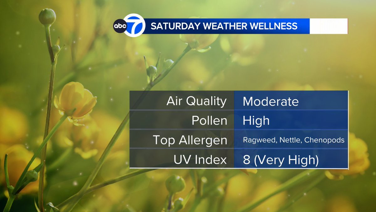 Weather Wellness