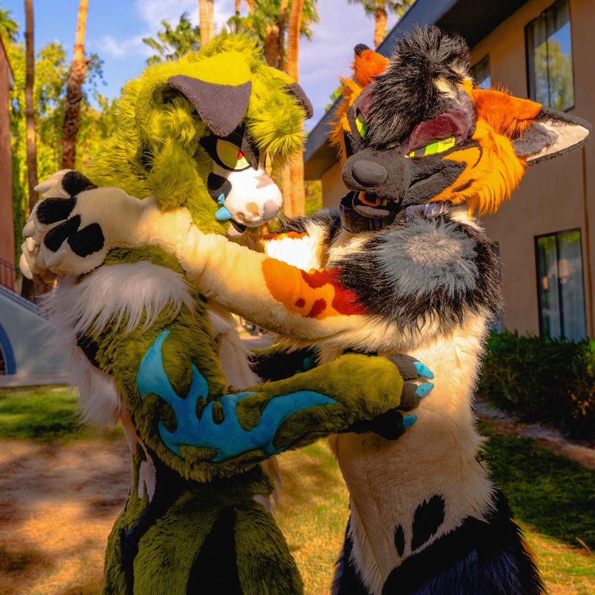 FURSUIT FRIDAY 
LVFC PICS WITH <a href="/CassiusF0x/">CASSIUS</a> awrf awrf!!!! 
#FursuitFriday