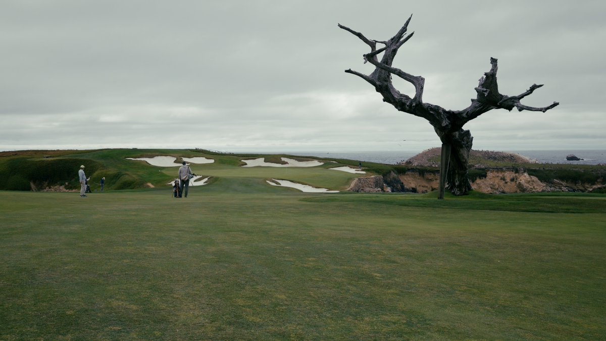 fried_egg_golf's tweet photo. With its glorious combination of rocky coast, sand dunes, cypress trees, and pine woods, Cypress Point Club is unlike any other golf course in the world.

Tune in to our YouTube premiere on Monday, August 25th at 8 PM ET as we preview the host site of the 50th Walker Cup. https://t.co/55RByRHxov
