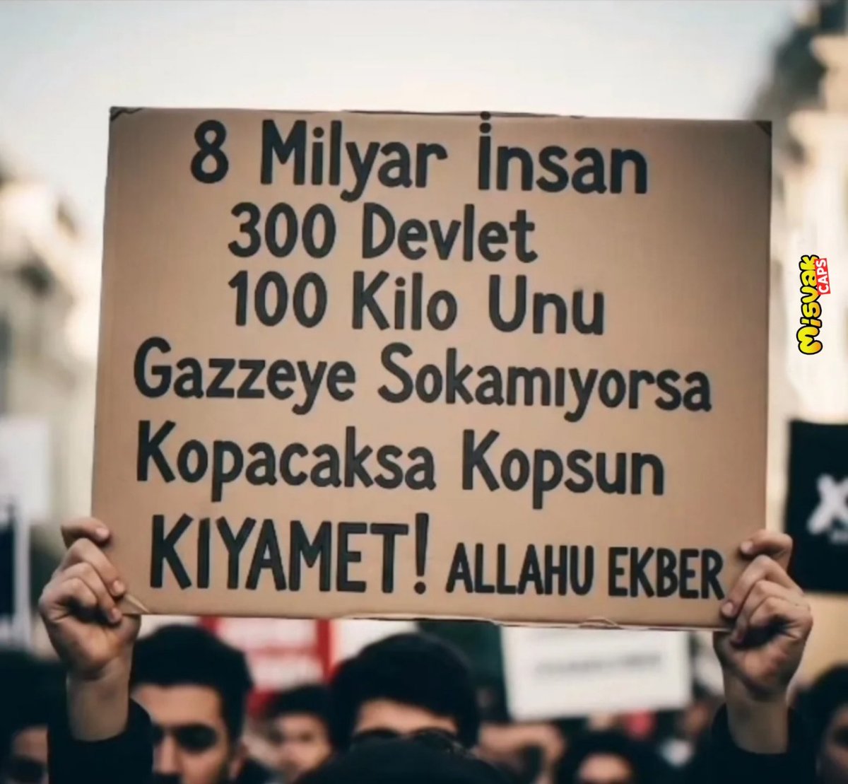 Helak olmayı hakediyoruz !

8 milyar insan,
300 Devlet 
100 kilo unu Filistin'e (Gazze'ye) sokamıyrsa, kopacaksa kopsun kıyamet !