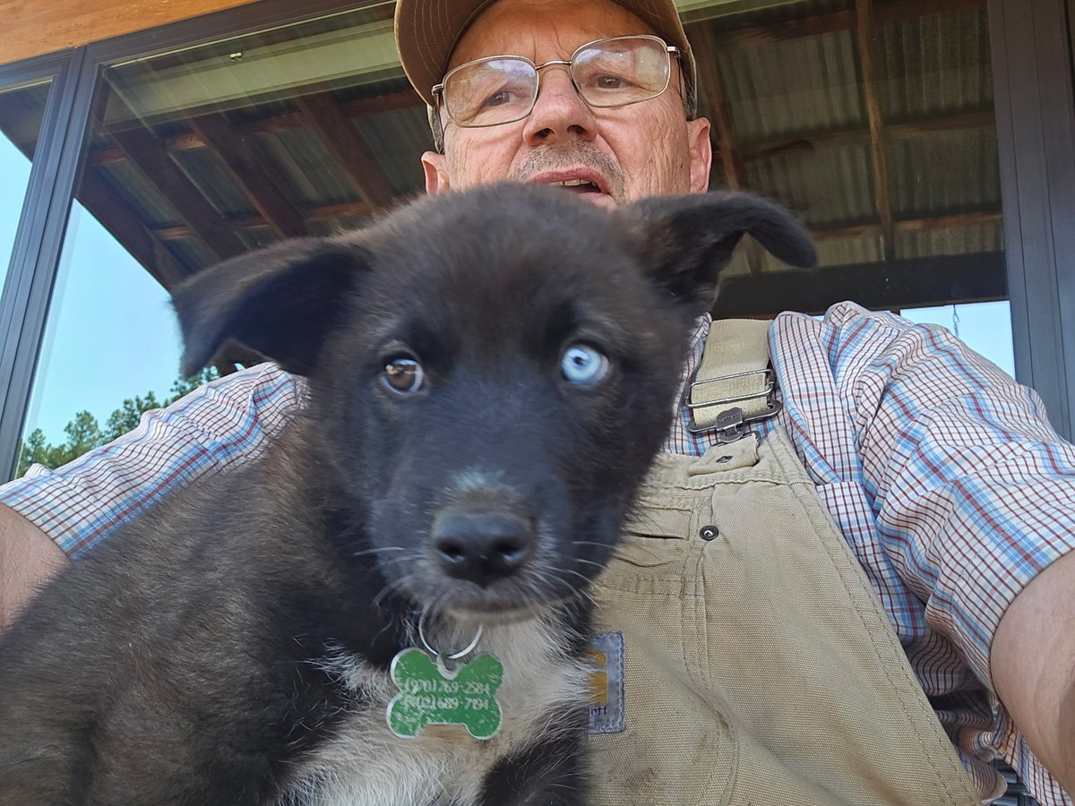 StarLiquorsDgo's tweet image. This picture is of 1 of the 2 cute pups that will be here in 15 minutes!