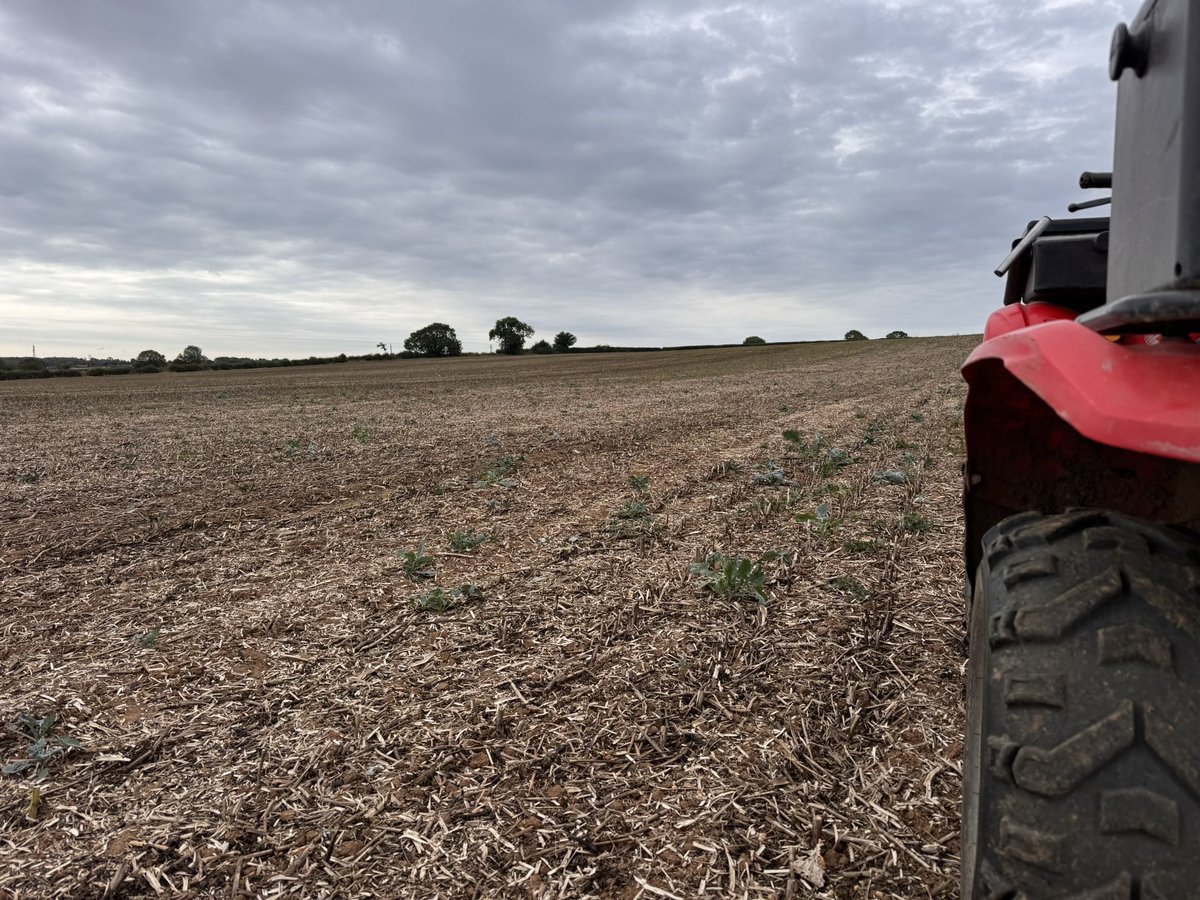 Tim Adkins tweet media