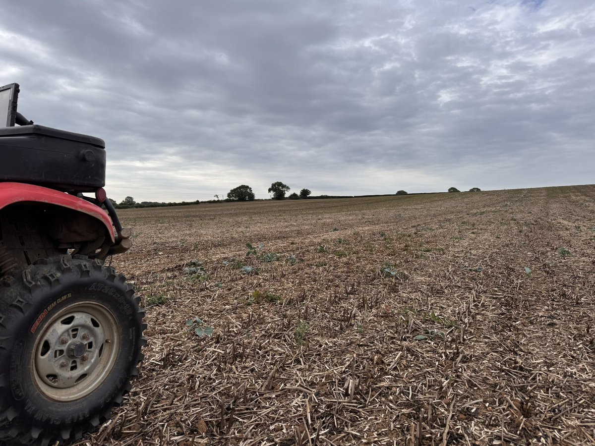 Tim Adkins tweet media