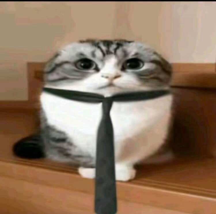 everyone who i promised art can rest assure that i havent started on any of them, merry christmas