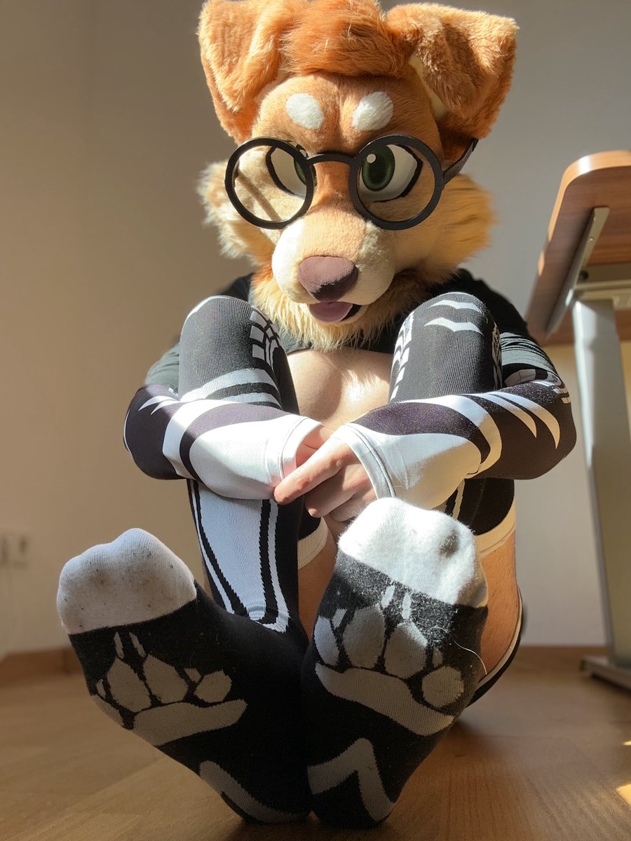 MaxFluffys's tweet image. Oh uhm- hey there! 🥰