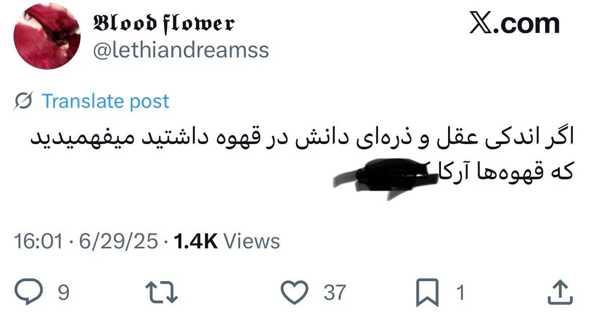 cafe_arka's tweet photo. ولی قهوه‌خورای واقعی هیچ وقت با من problem  نداشتن🦦🎀 https://t.co/OFO7MhSEkg