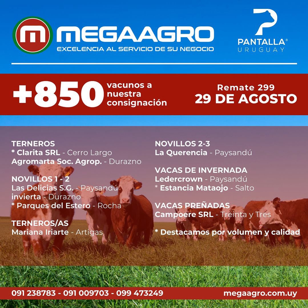 Remate 299 de Pantalla Uruguay
🗓️ 29 de agosto
🐃 +850 vacunos a nuestra consignación 
Con lotes muy destacados 😉