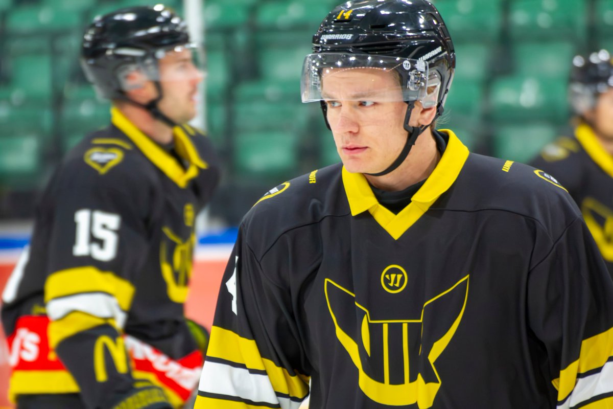 Silly: VIK kopplas ihop med Brandon Coe och flera veteraner från AIK, Leksand och Oskarshamn – men målskyttet, center och offensiv potential bör nog prioriteras före ännu fler grovarbetare vikfancentral.se/silly-vik-kopp… via @vikfancentral