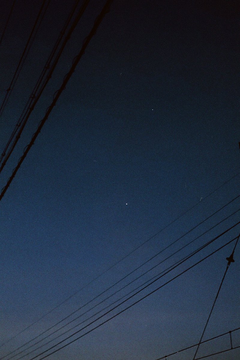 白乃りょう (@ryon_mole) on Twitter photo 