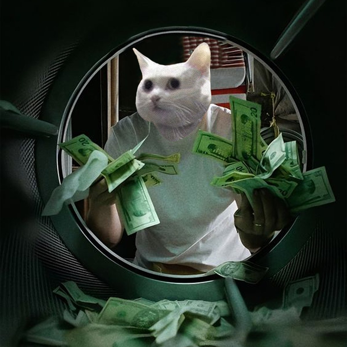 HumanShadow0x's tweet image. My cat is long on $LONG the @NobikoCTO coin and you ? AYABiqKuTh9Va5Aqc6AujFevHwDGmECGQiFmKW5g3K4Z