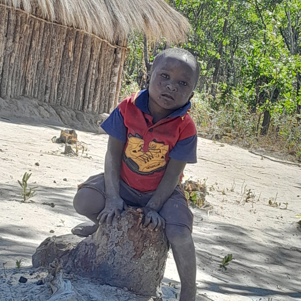 This legend will never have an experience of formal school, located in chitambo, the nearest school is about 40km.  Aside from school, his location  of stay others in the same area deem it a privilege💔. This kid also like his parents is likely to have zero taste of safe and