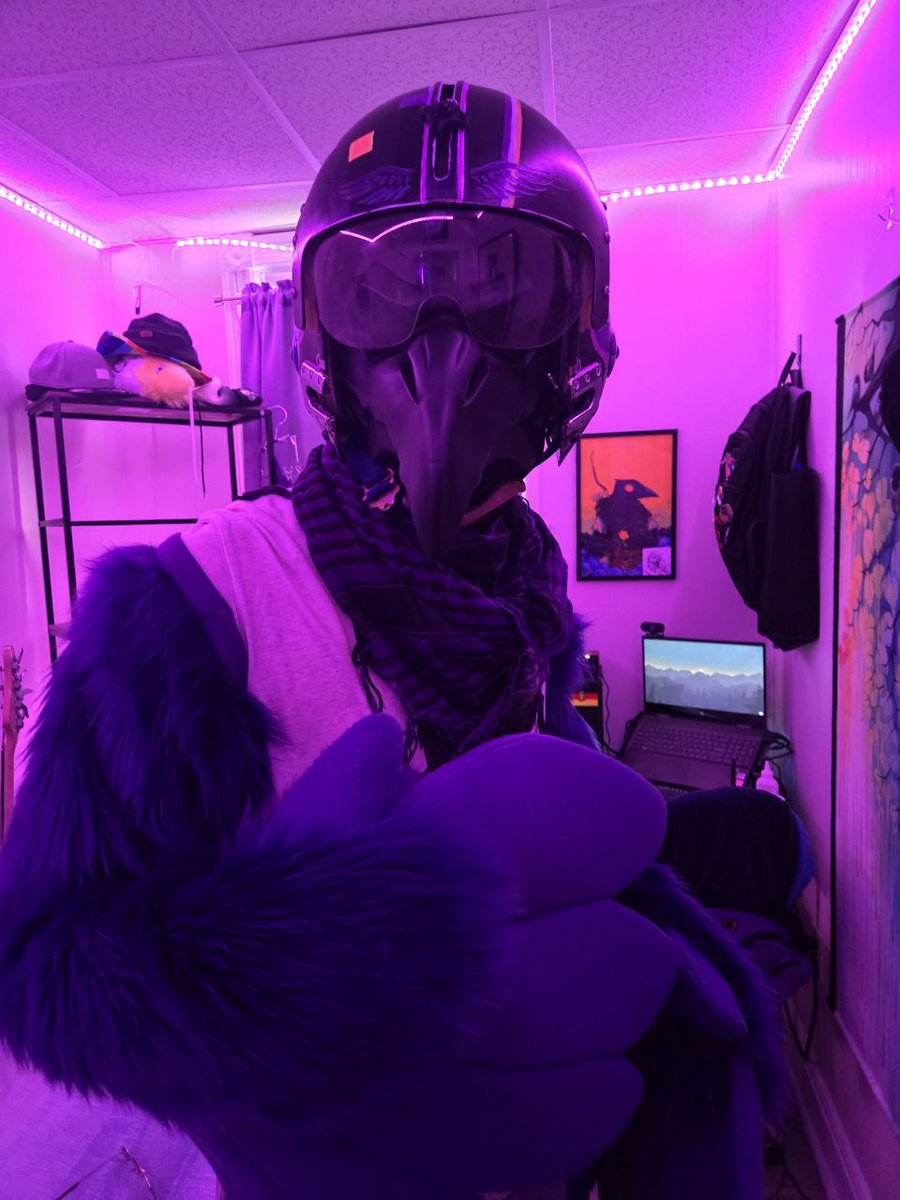 GrainyWings's tweet image. Who want dum bird