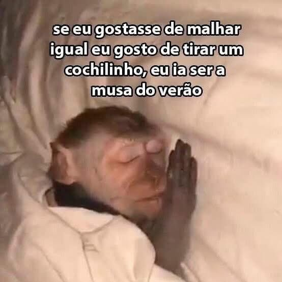 memes para relaxar e sobreviver tweet media