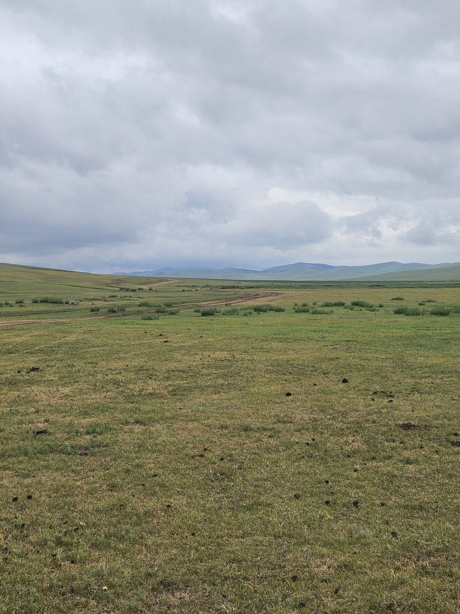 Өглөөний мэнд.🤗
Өнөөдрийн ажил үйлс нь бүтэмж дүүрэн байгээ🫰