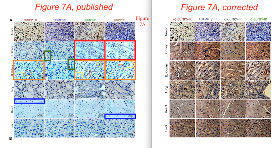 MicrobiomDigest's tweet photo. #ThisImageIsFine
@sciencedirect is allowing @DanaFarber authors to correct *five* sets of duplicate panels by sending in a completely new set of photos, because they could not find the 4-year-old originals.
https://t.co/dqdu2VKDa5 https://t.co/5FnimO5BXM