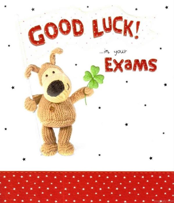 craigavonsams's tweet photo. 📆21 August 2025: Results Day
The wait is finally over, its results day for many students.
Good Luck to all students getting their GCSE results today 💚
#resultsday #GCSEResults #examresults2025 #gcsestudent https://t.co/d9BmHY240w