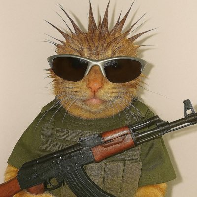 #NewProfilePic oke fuck it. Punk IT UP!!

Who is joining me???

PUMP NEEDS A CAT RUNNER!