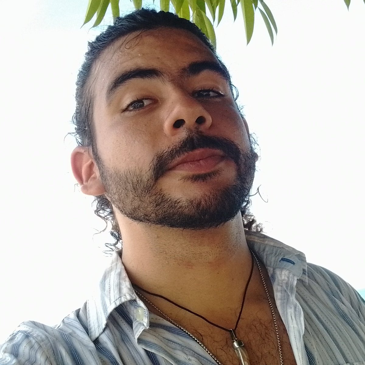 Victor M. Rodríguez tweet media