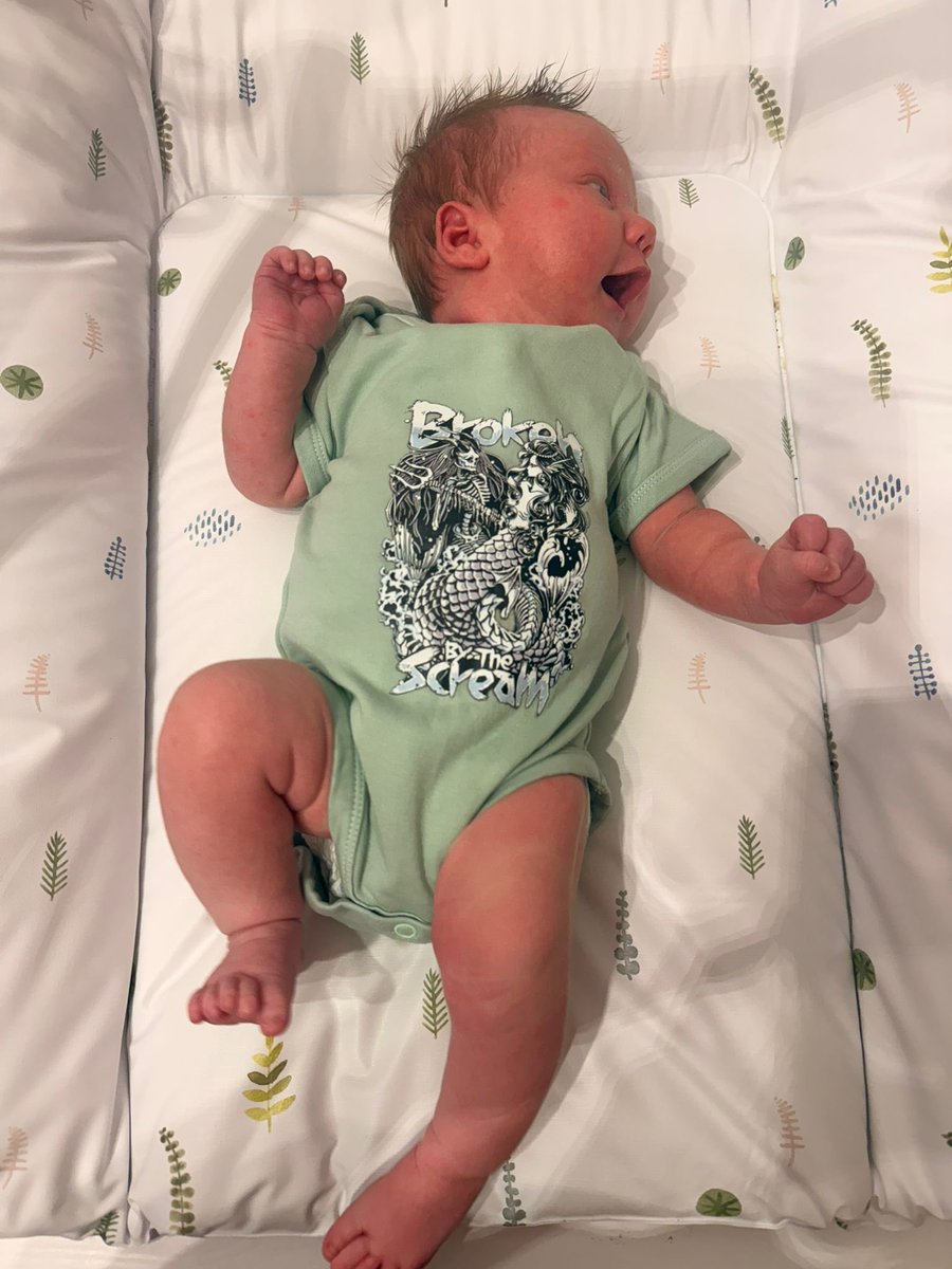 bbtsfangermany's tweet photo. After three weeks, it's now clear. The little one is a high-pitched screamer, there's no doubt about it. She'll have a great future.

#BBTS 
#brokenbythescream
#BBTSbaby https://t.co/E7BxzmdZMO