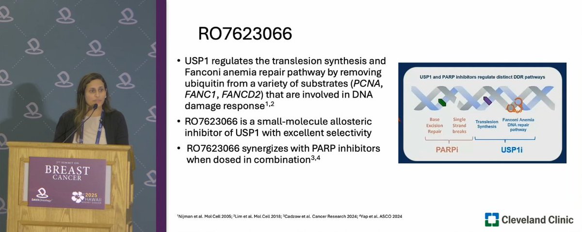 DAVA Oncology tweet media