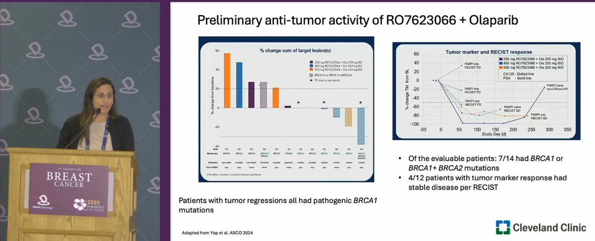 DAVA Oncology tweet media