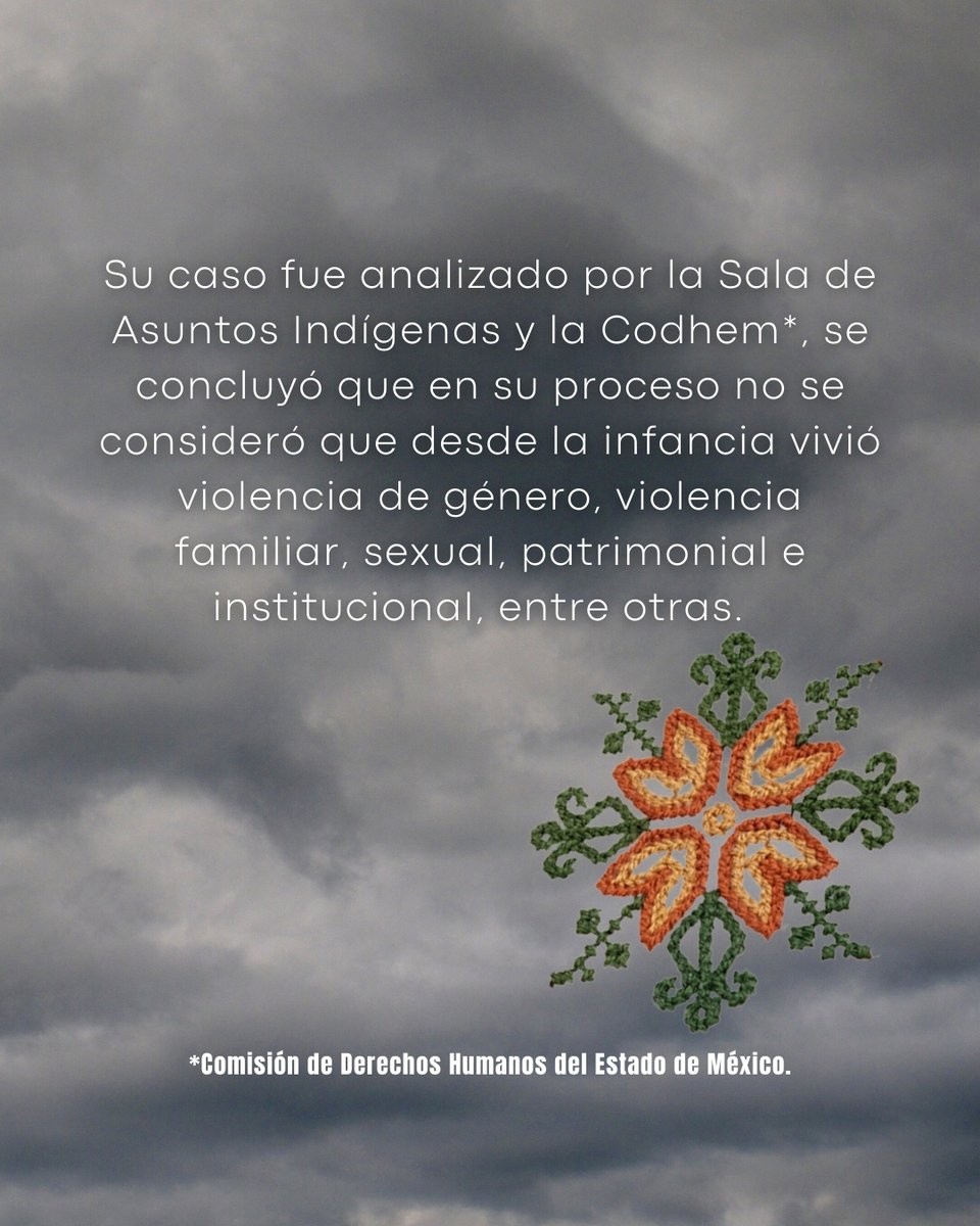 Comando Colibrí tweet media