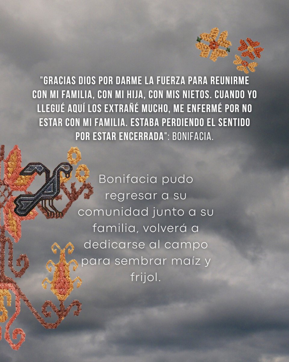 Comando Colibrí tweet media