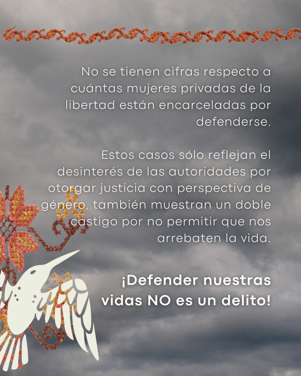 Comando Colibrí tweet media