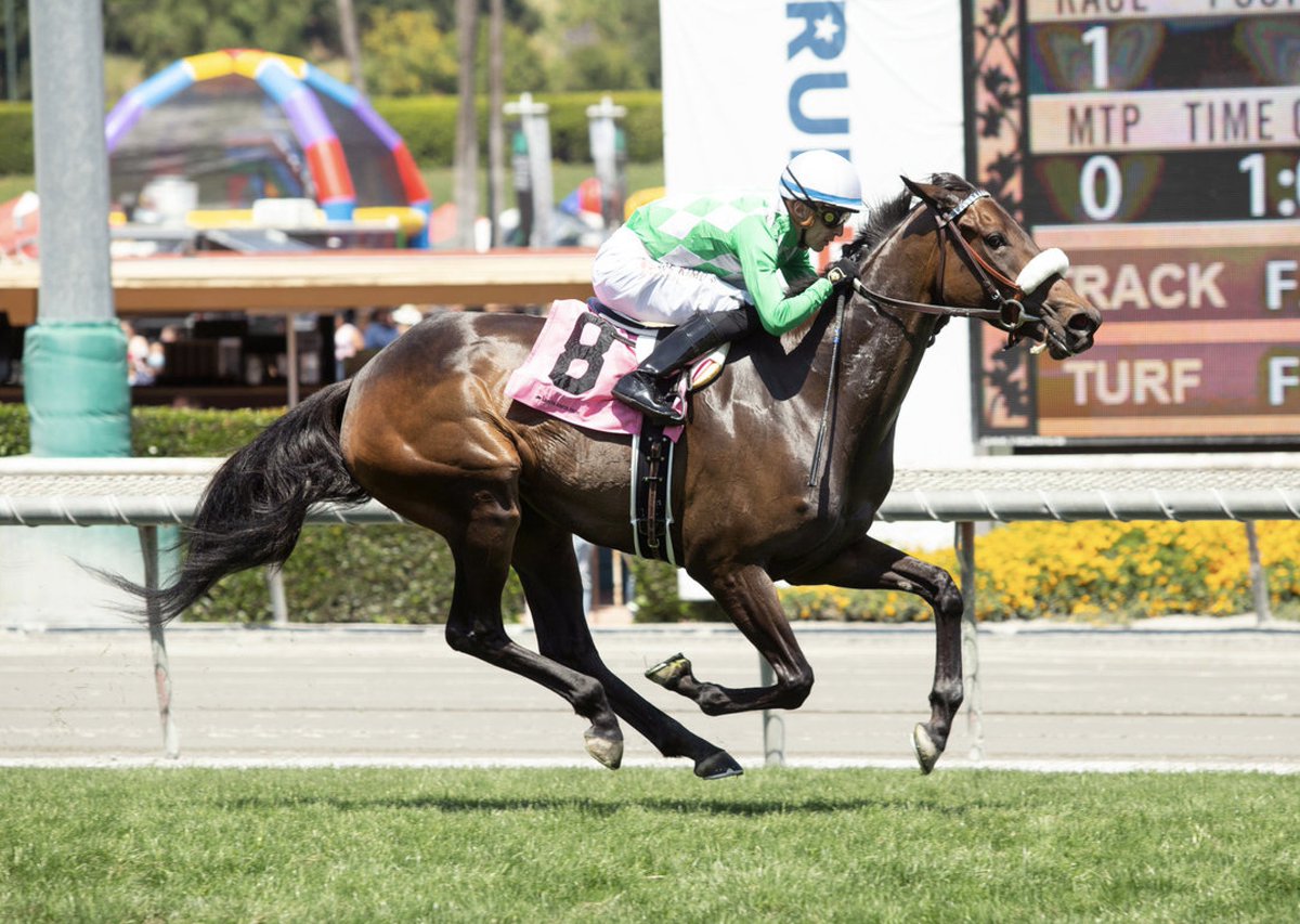 From the Harris Dispersal... QUEEN OF POMPEII.  Talented sprinter that could get 6f in 1:06 and change.  2nd dam (Soviet Problem) was the fastest mare of her generation. <a href="/FasigTiptonCo/">Fasig-Tipton</a> <a href="/RanchoSanMigue1/">Rancho San Miguel</a> <a href="/HFHorseDivision/">HFHD_Official</a>