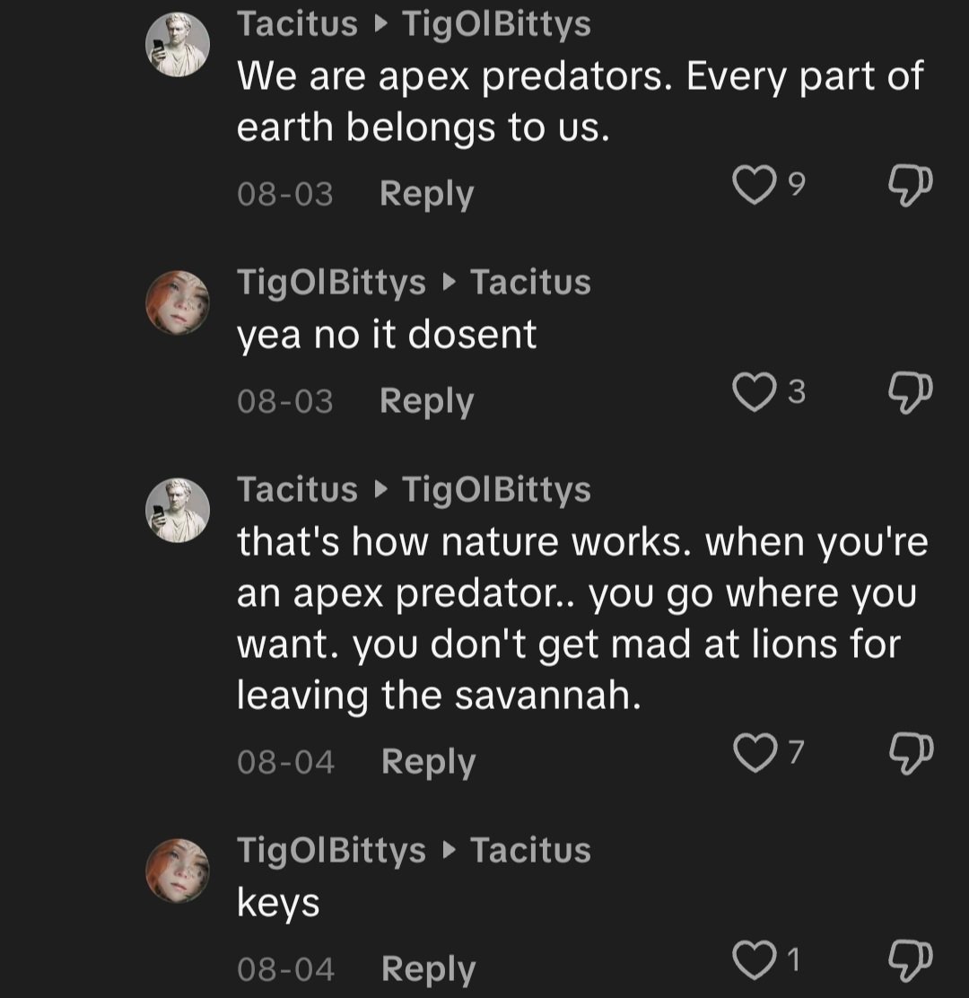 Istg tiktok comment sections can be the funniest thing ever sometimes