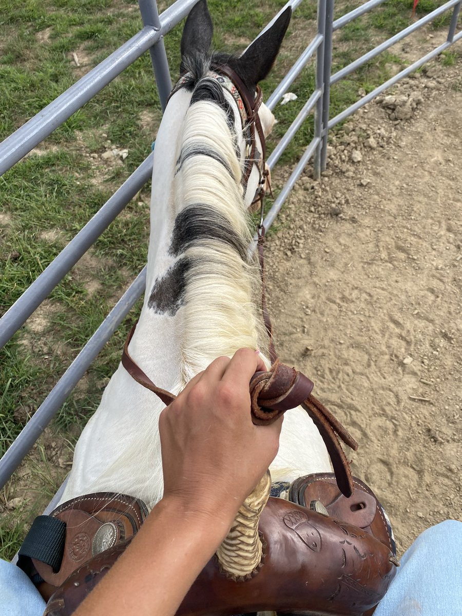 Let’s go 🐎