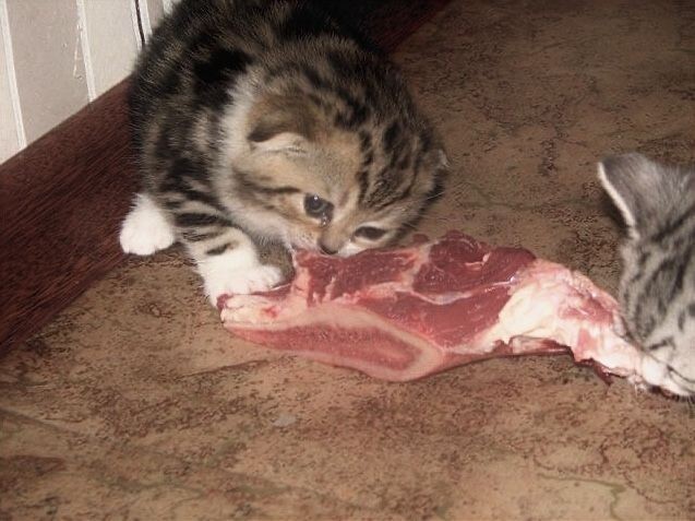 ethereal (@illmemorialx) on Twitter photo 