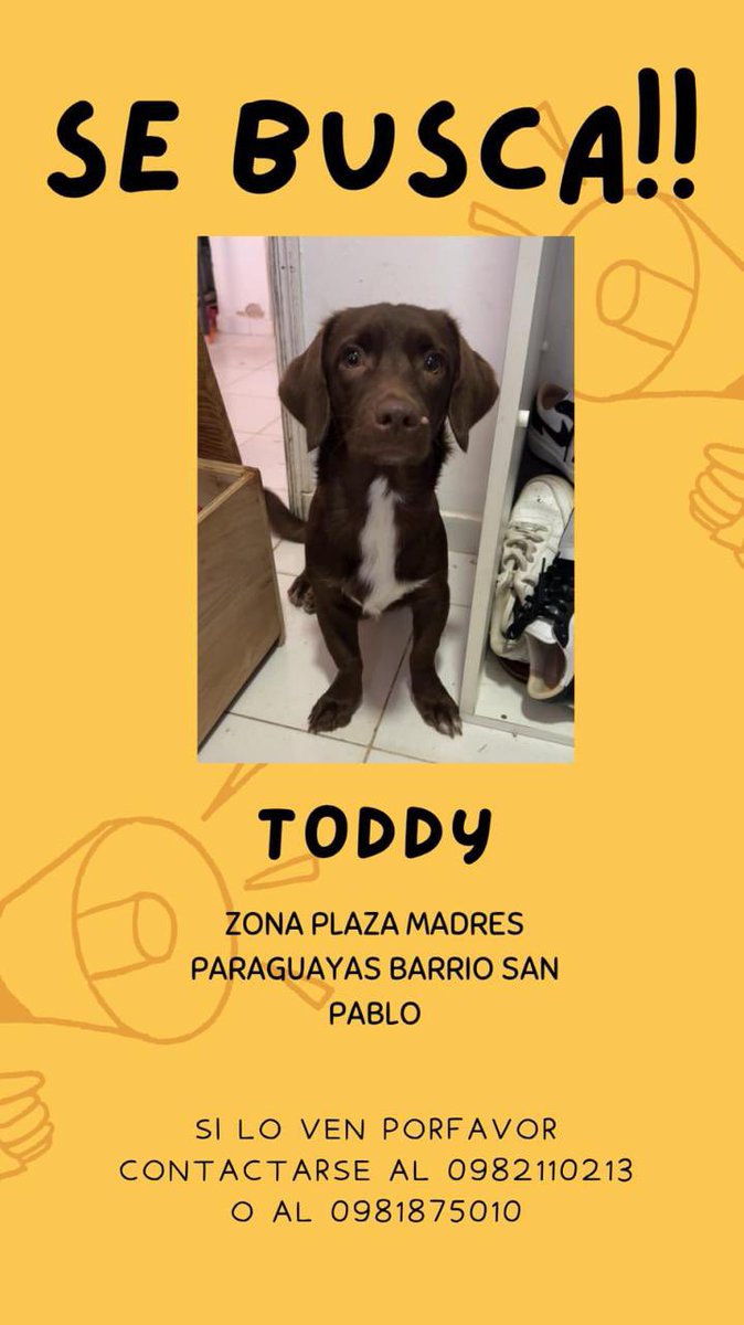 CADENA DE FAVORES 🐶🙏