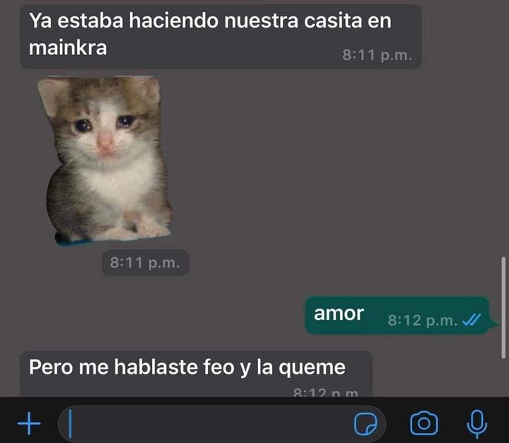 Alejo tweet media