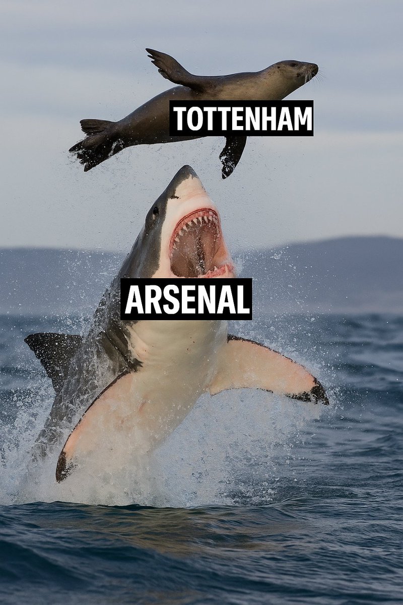 Speaking2Stacy's tweet photo. Eze deal in a nutshell: shark week every week 🦈🔴 #COYG #NorthLondonIsRed https://t.co/lr8tEp3Doy