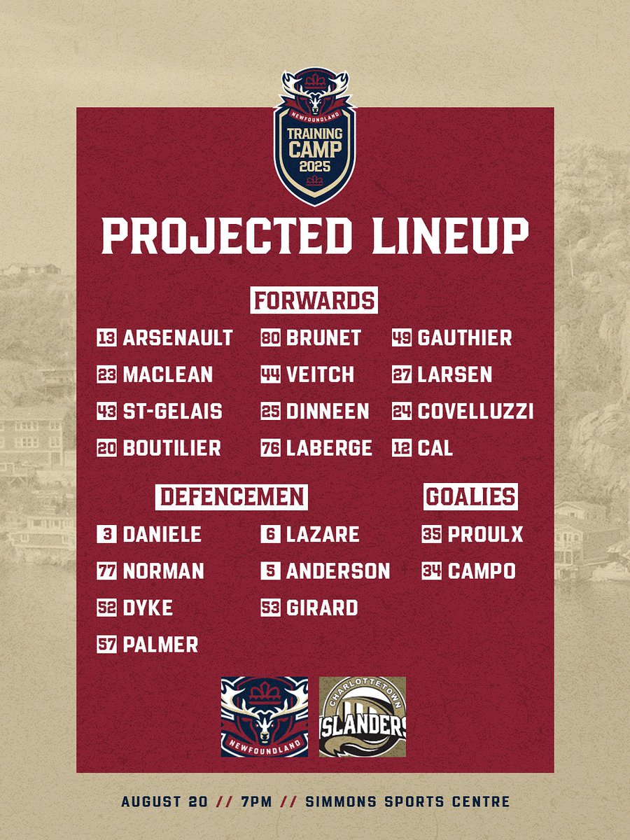 Newfoundland Regiment tweet media