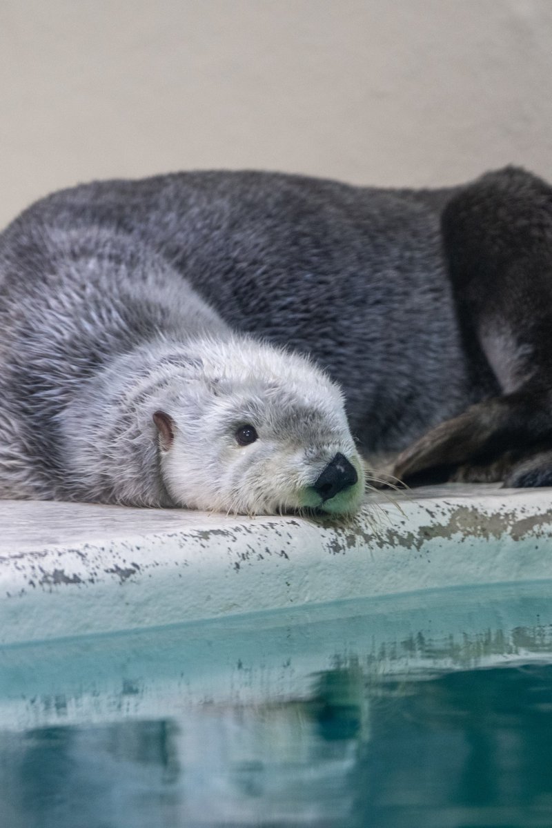 おはようございます。