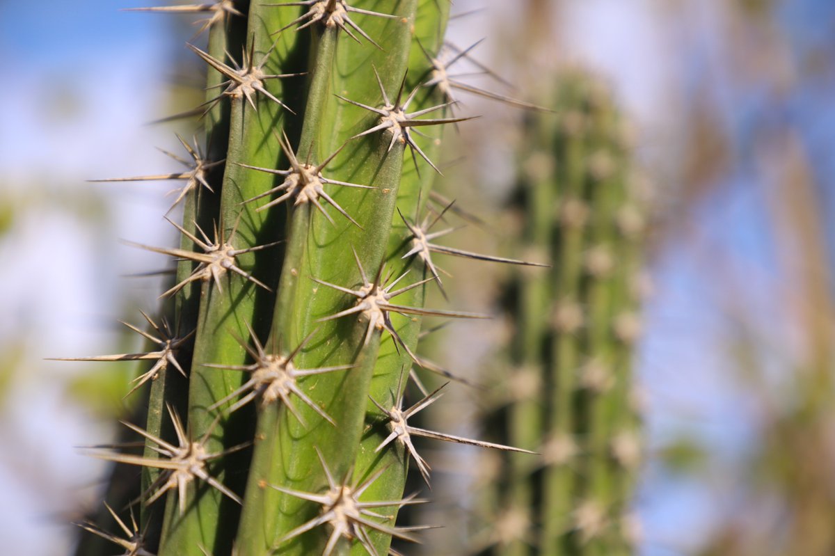 📸 Se me pasó el #DíaDeLaFotografía, pero nunca es tarde para recordar una de mis grandes pasiones: disfrutar los pequeños detalles de la vida a través de la lente. ✨